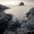 Rat Island